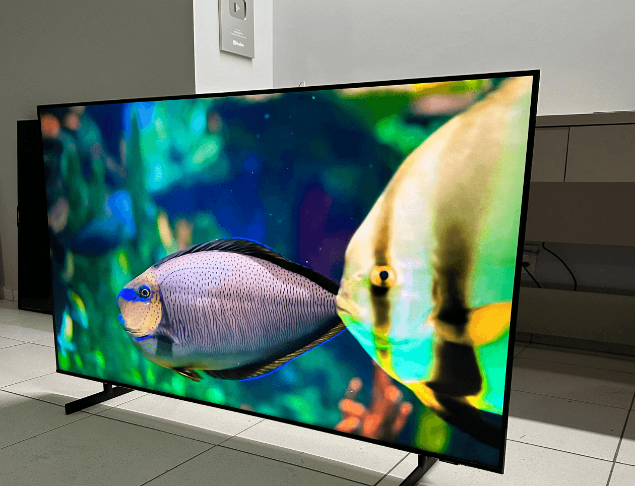 1ª imagem da campanha