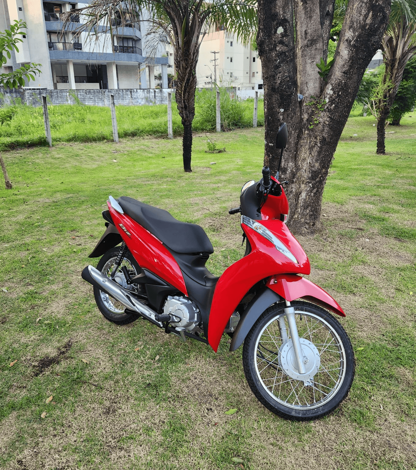 1ª imagem da campanha