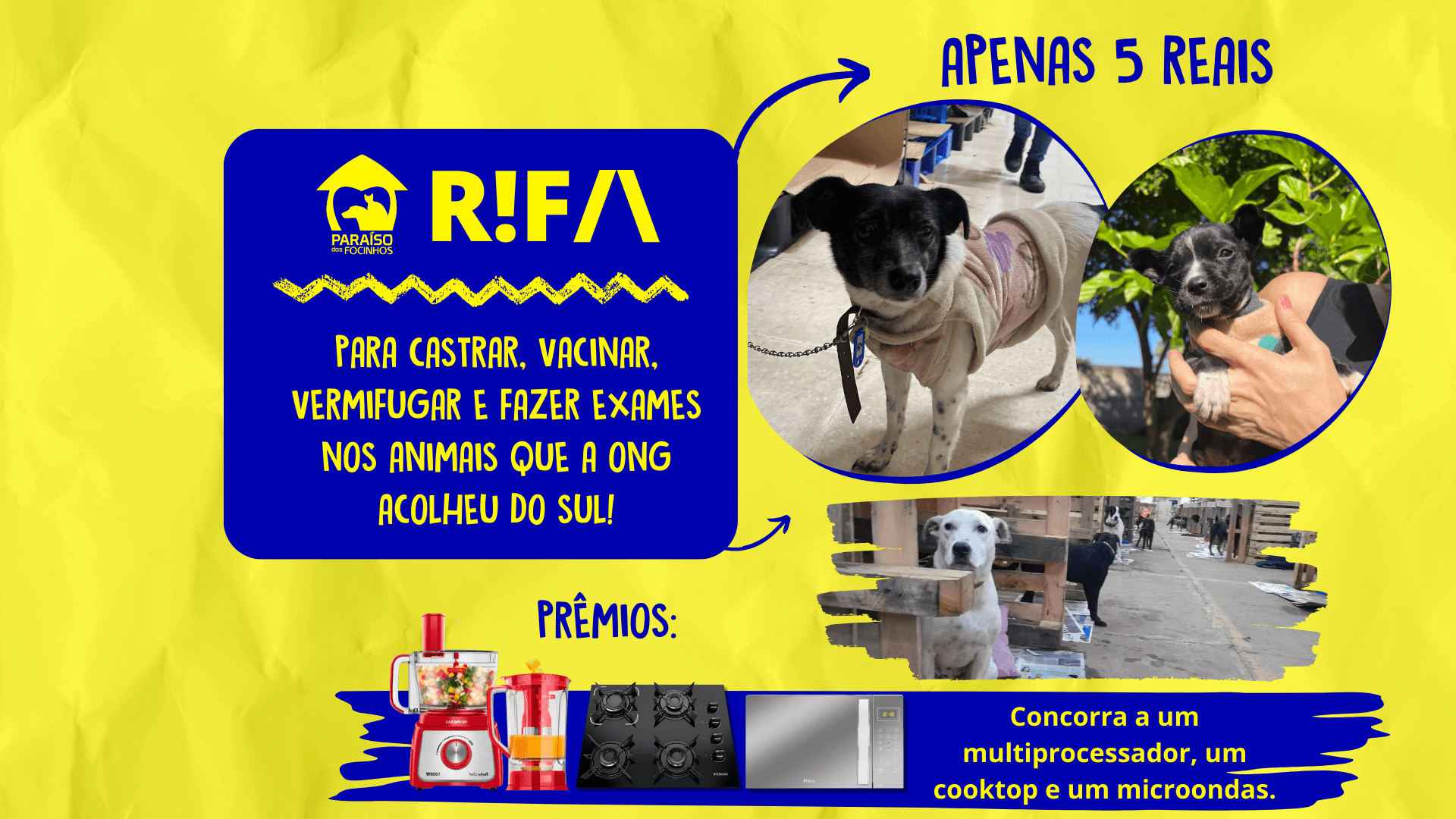 1ª imagem da campanha