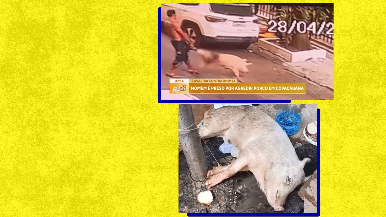 2ª imagem da campanha