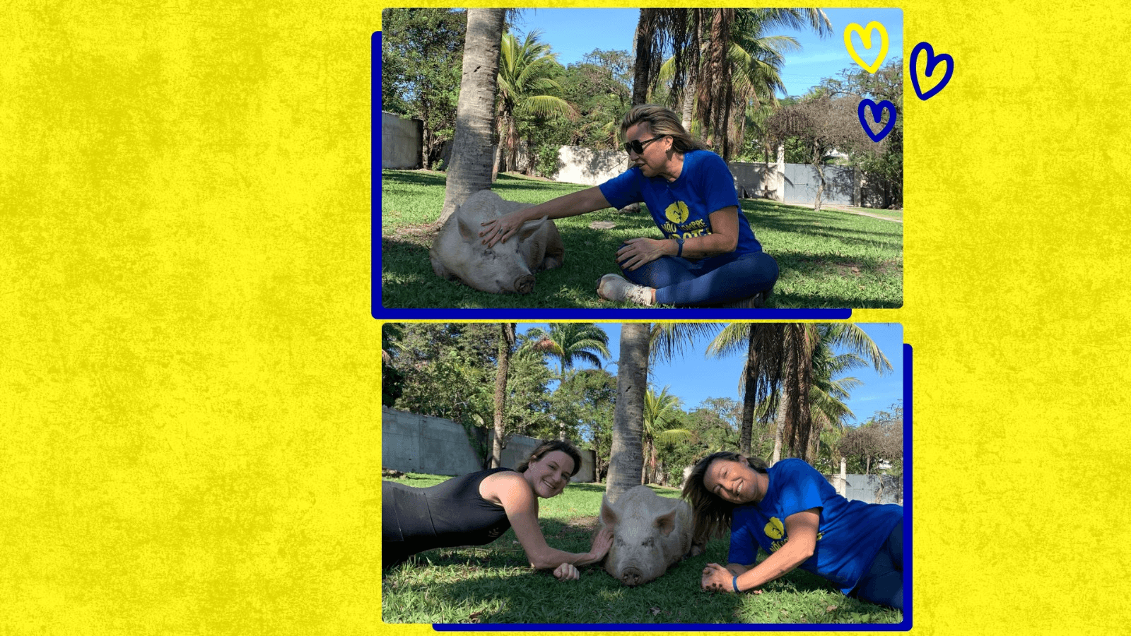 4ª imagem da campanha