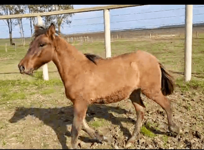 3ª imagem da campanha