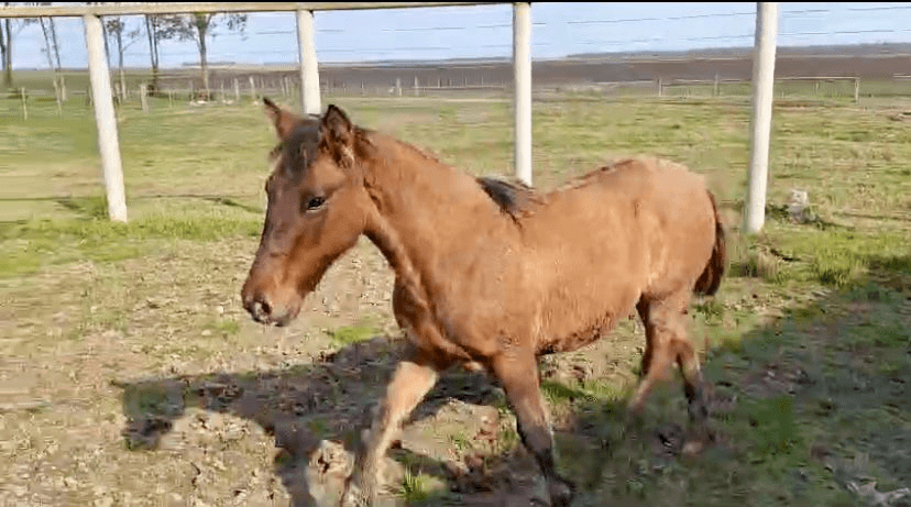 2ª imagem da campanha