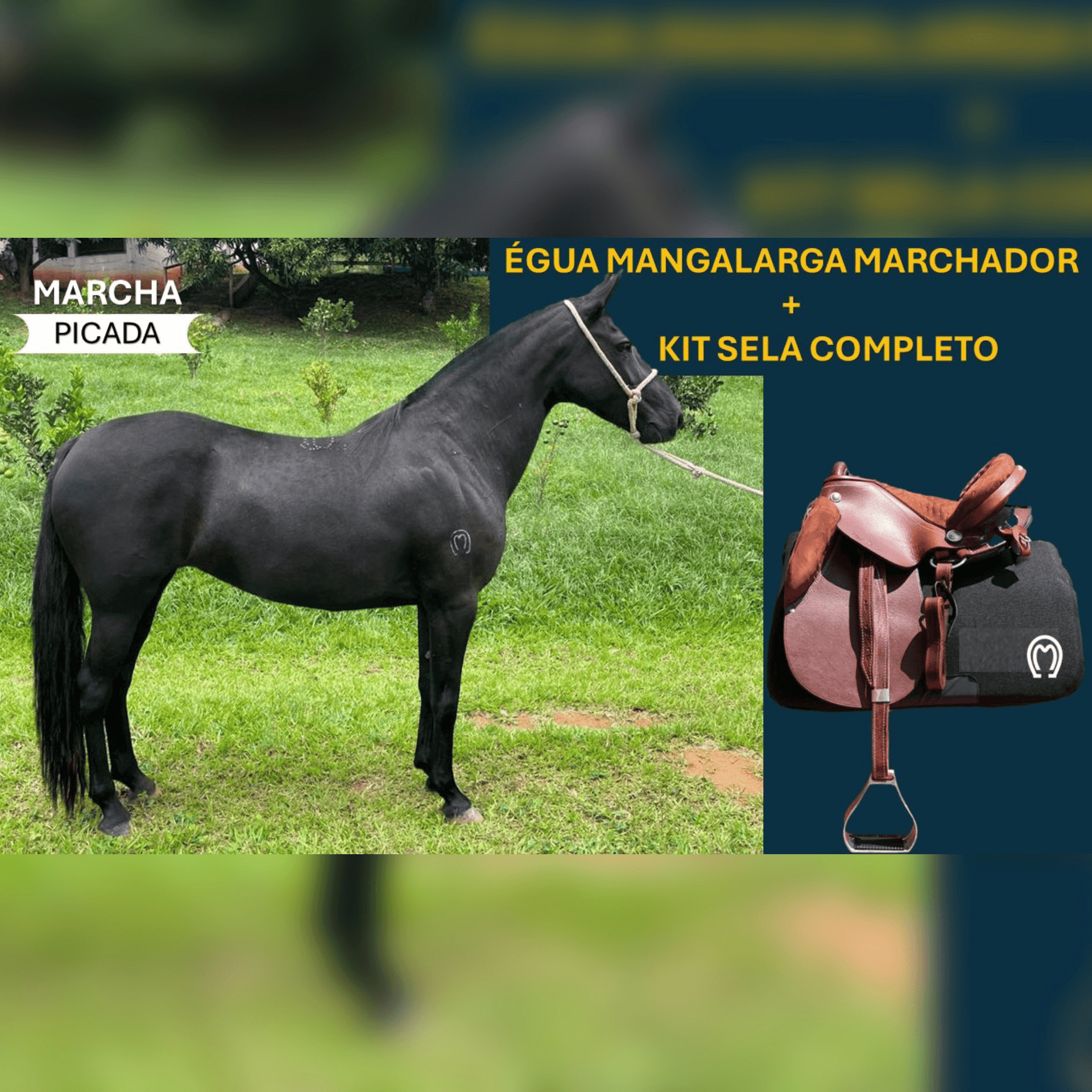 1ª imagem da campanha