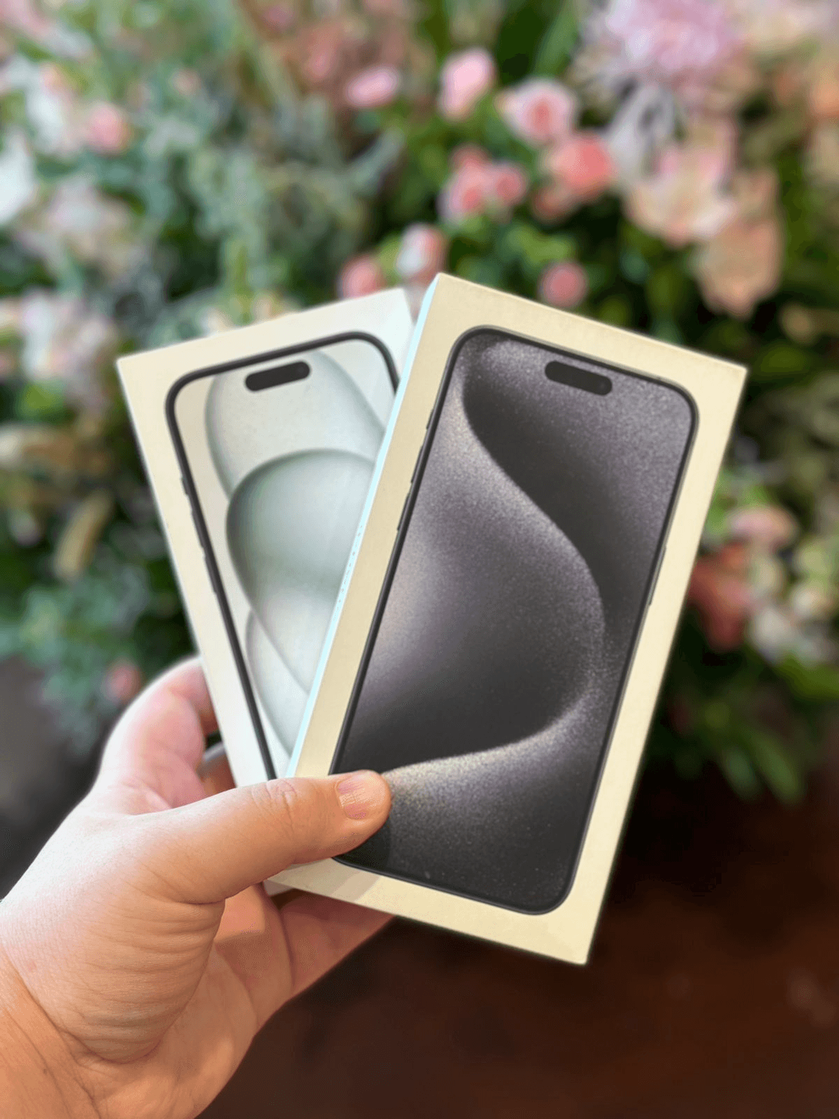 2ª imagem da campanha