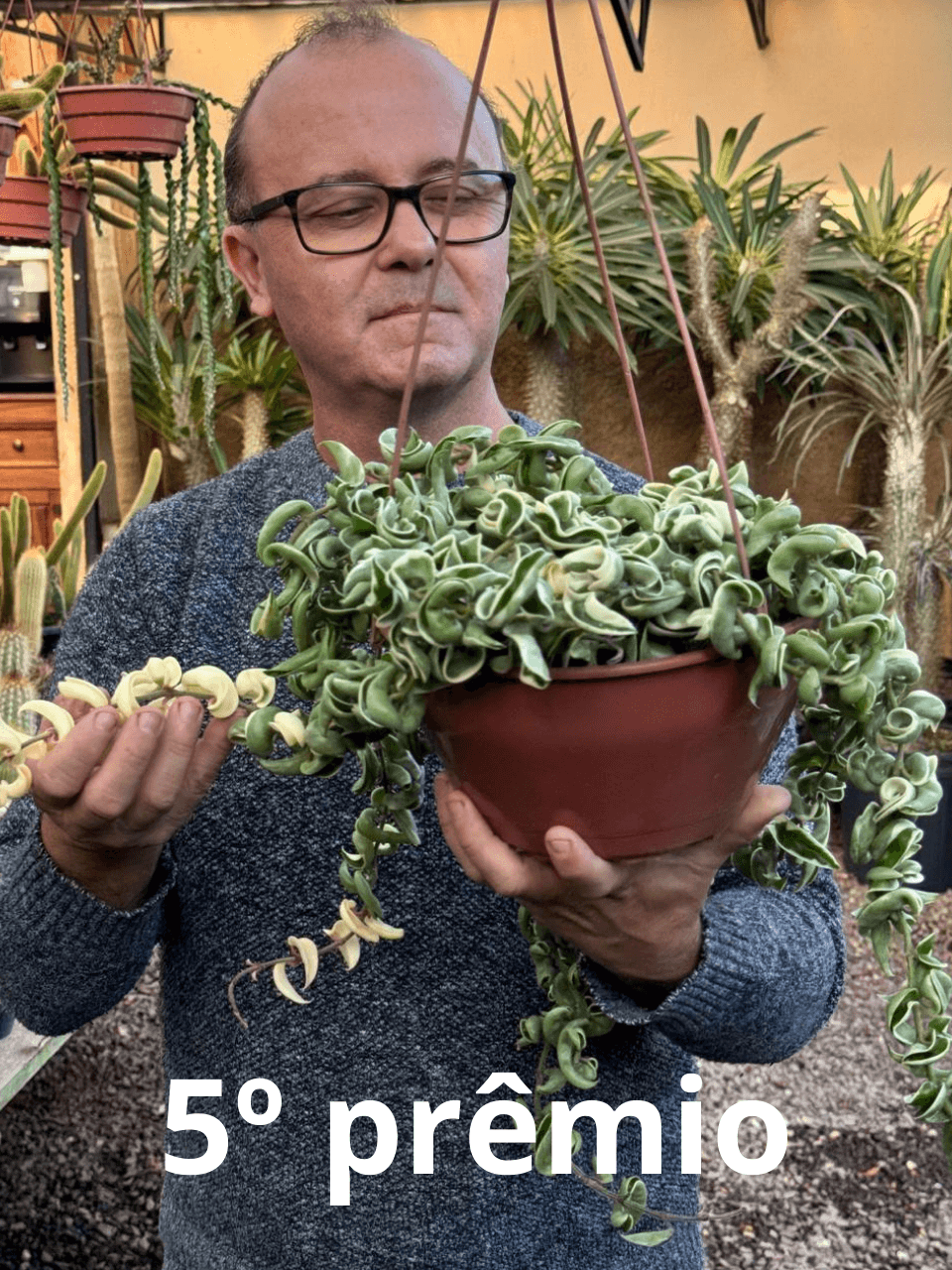 5ª imagem da campanha