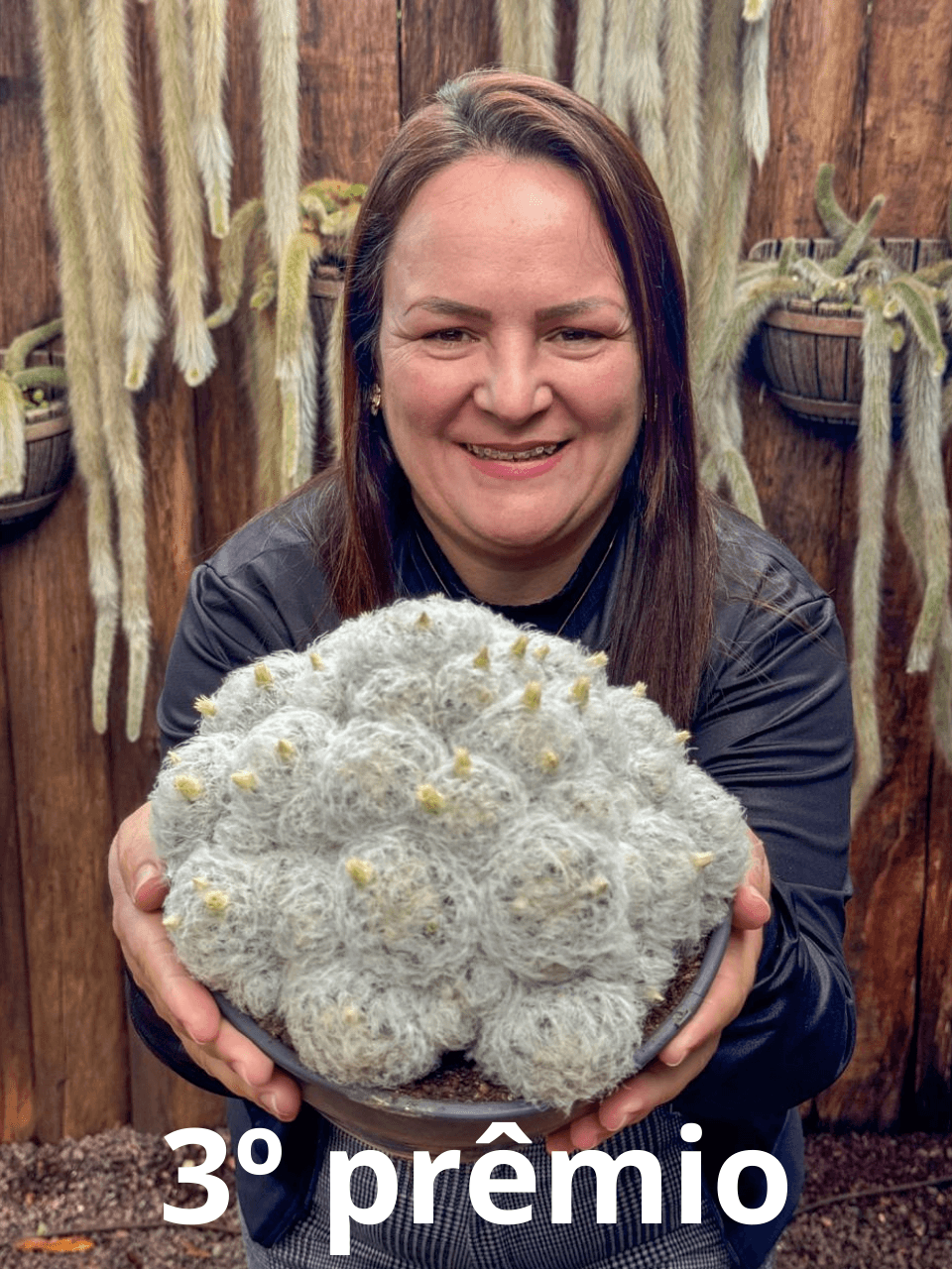 3ª imagem da campanha