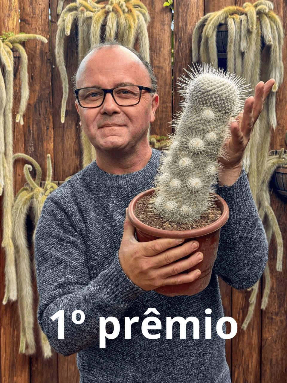 1ª imagem da campanha