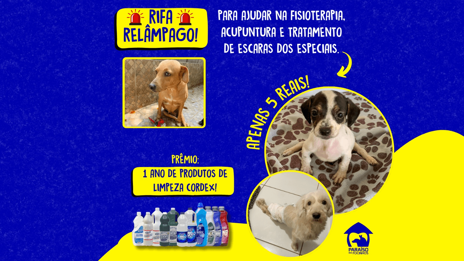 1ª imagem da campanha