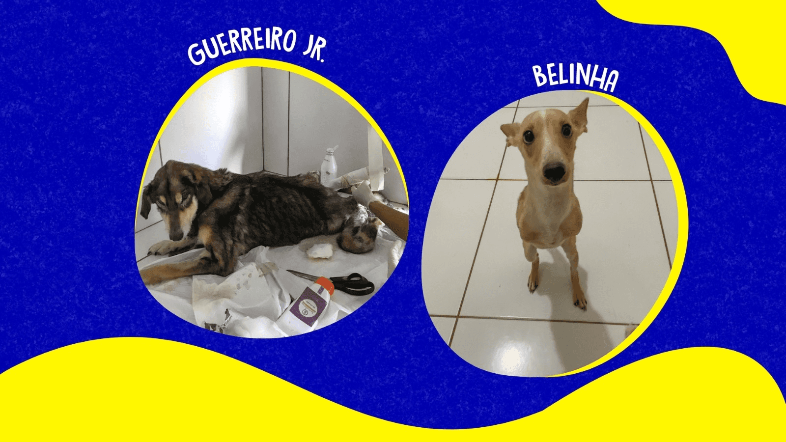 4ª imagem da campanha