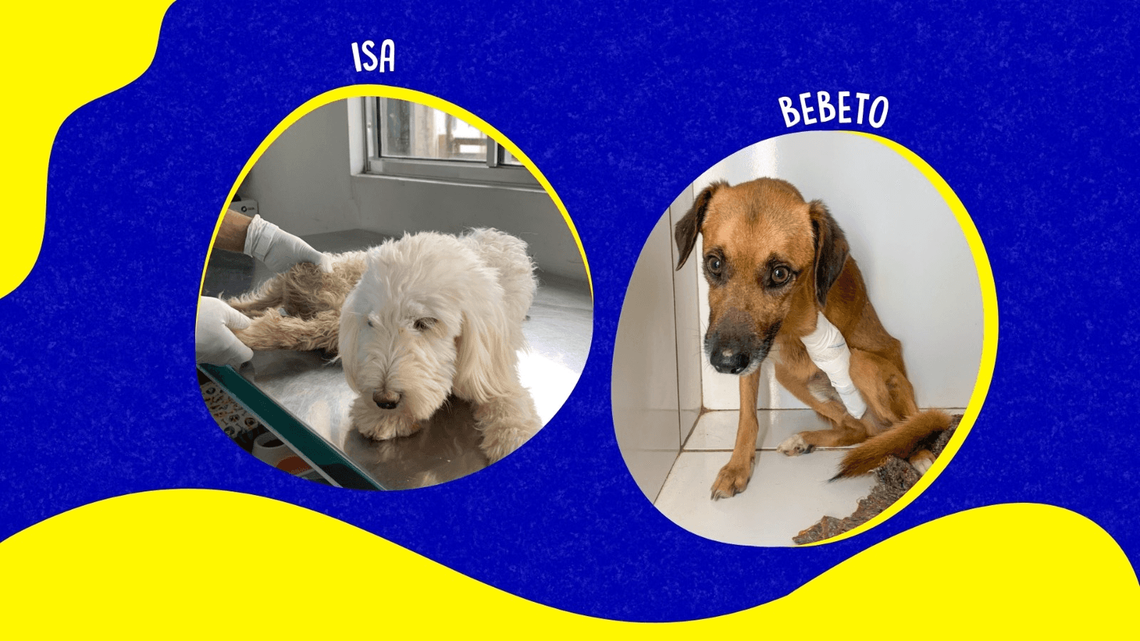 2ª imagem da campanha