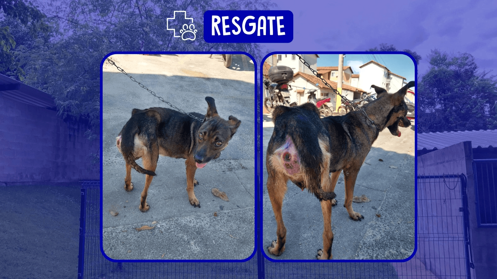 2ª imagem da campanha