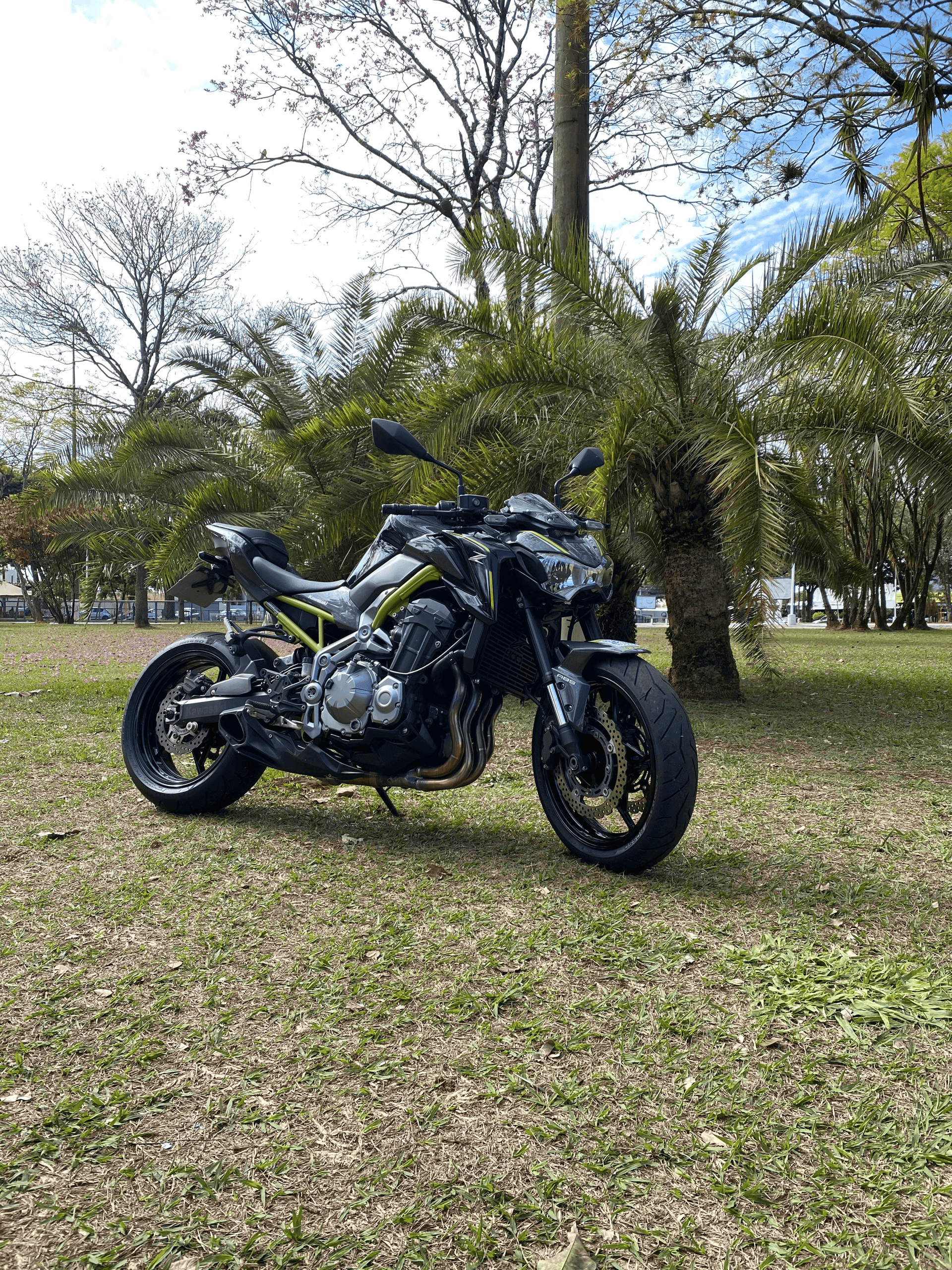 5ª imagem da campanha