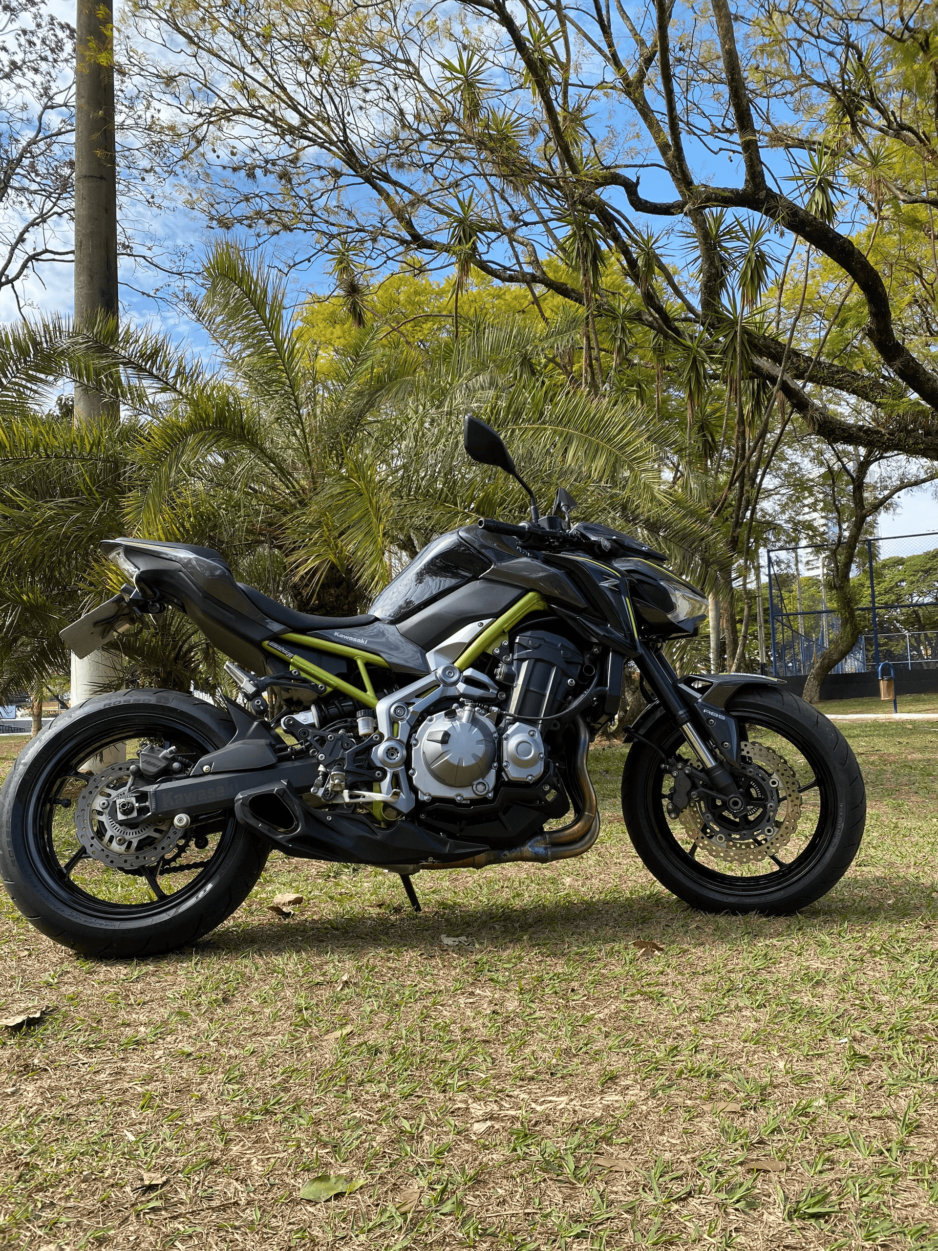 2ª imagem da campanha