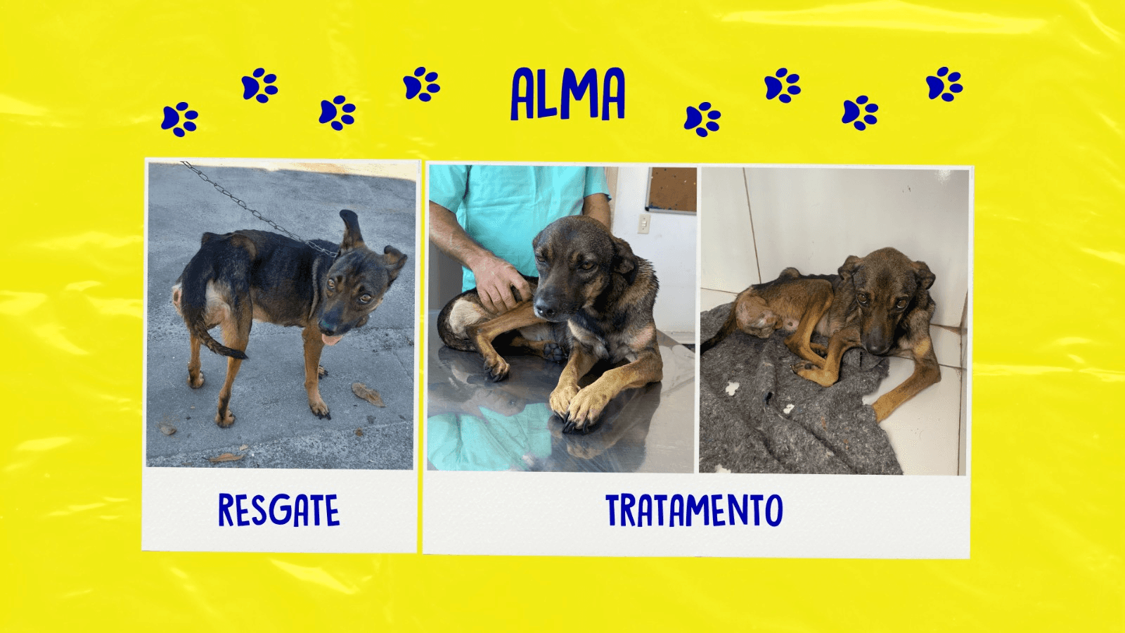 4ª imagem da campanha