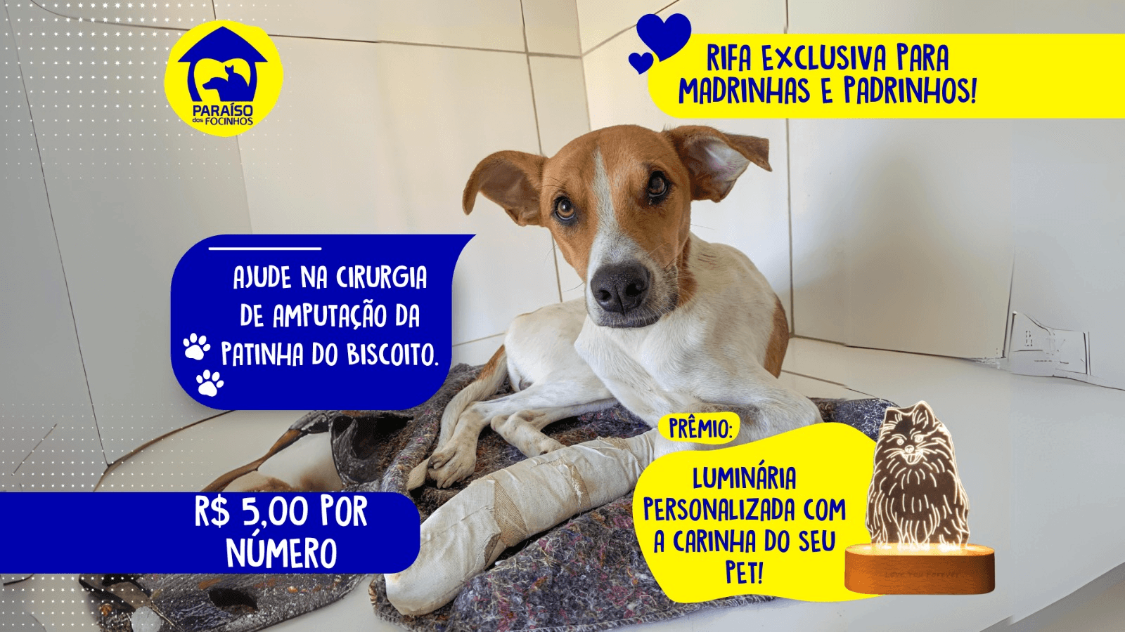 1ª imagem da campanha