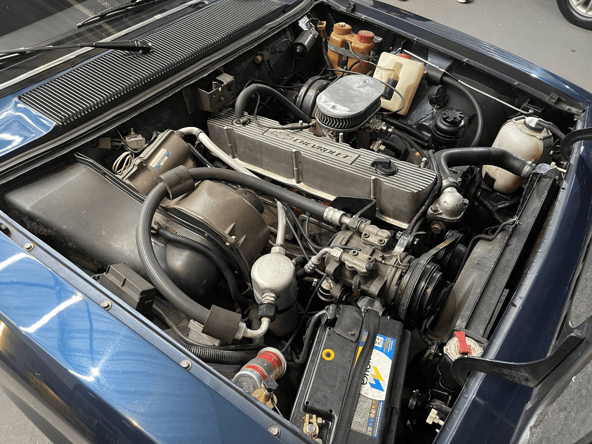 10ª imagem da campanha