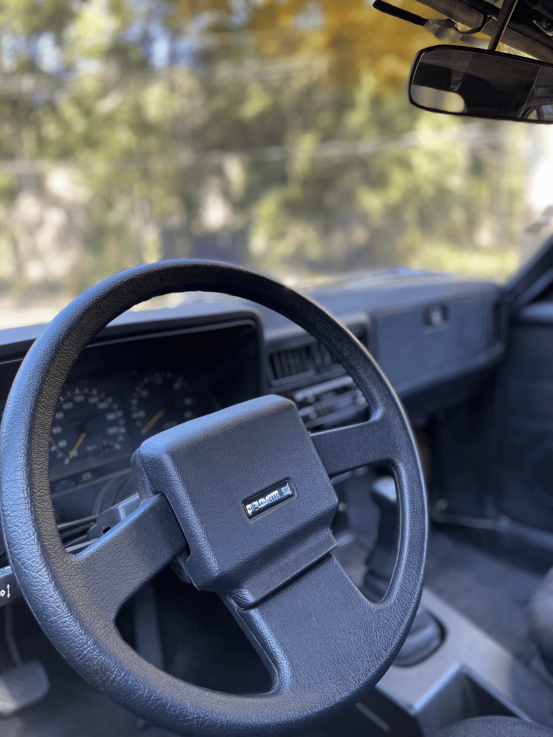 12ª imagem da campanha