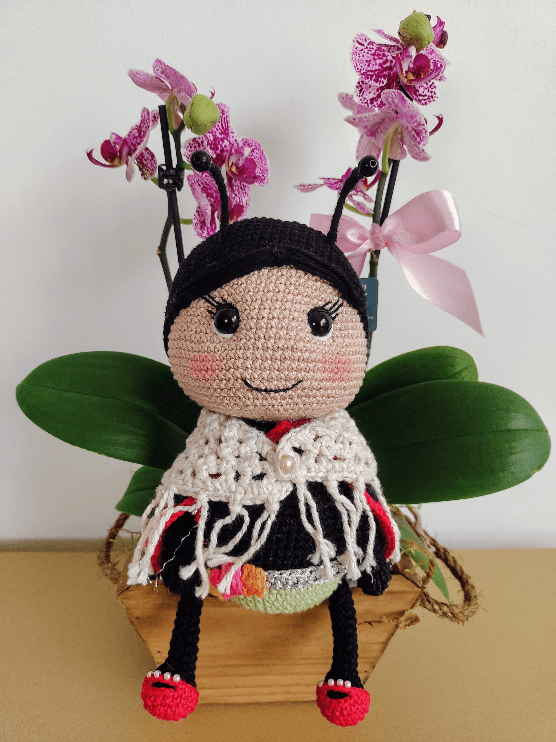 7ª imagem da campanha