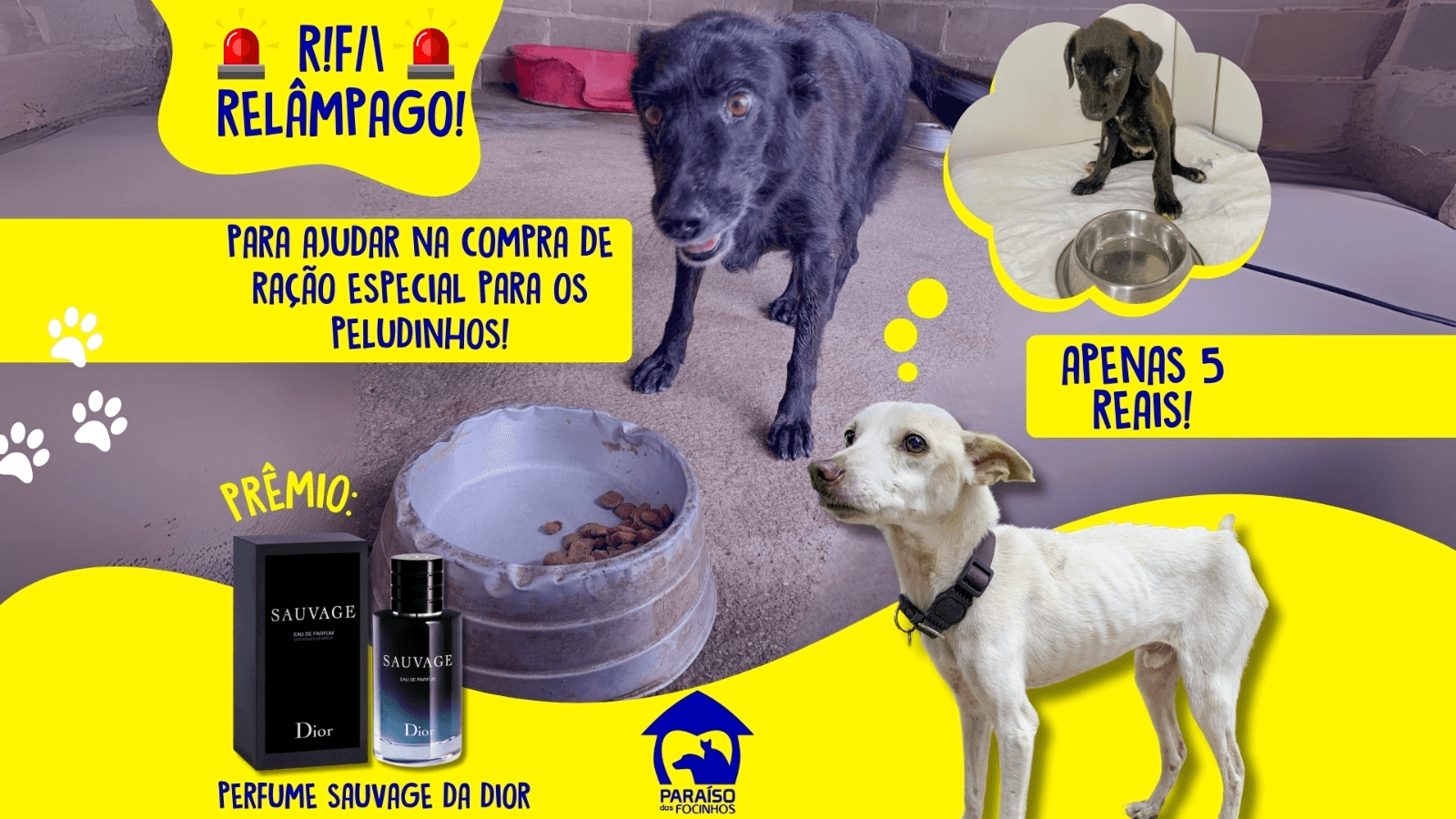 1ª imagem da campanha