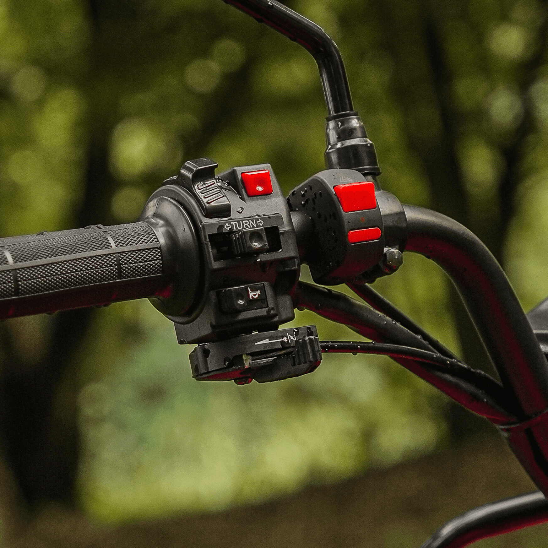 4ª imagem da campanha