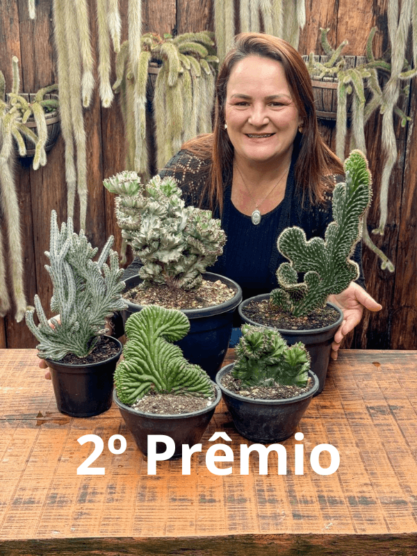 2ª imagem da campanha