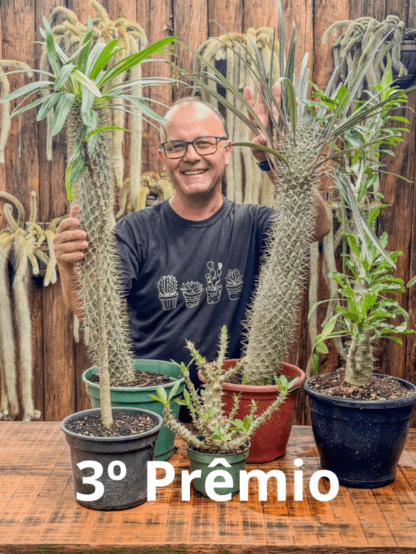 3ª imagem da campanha