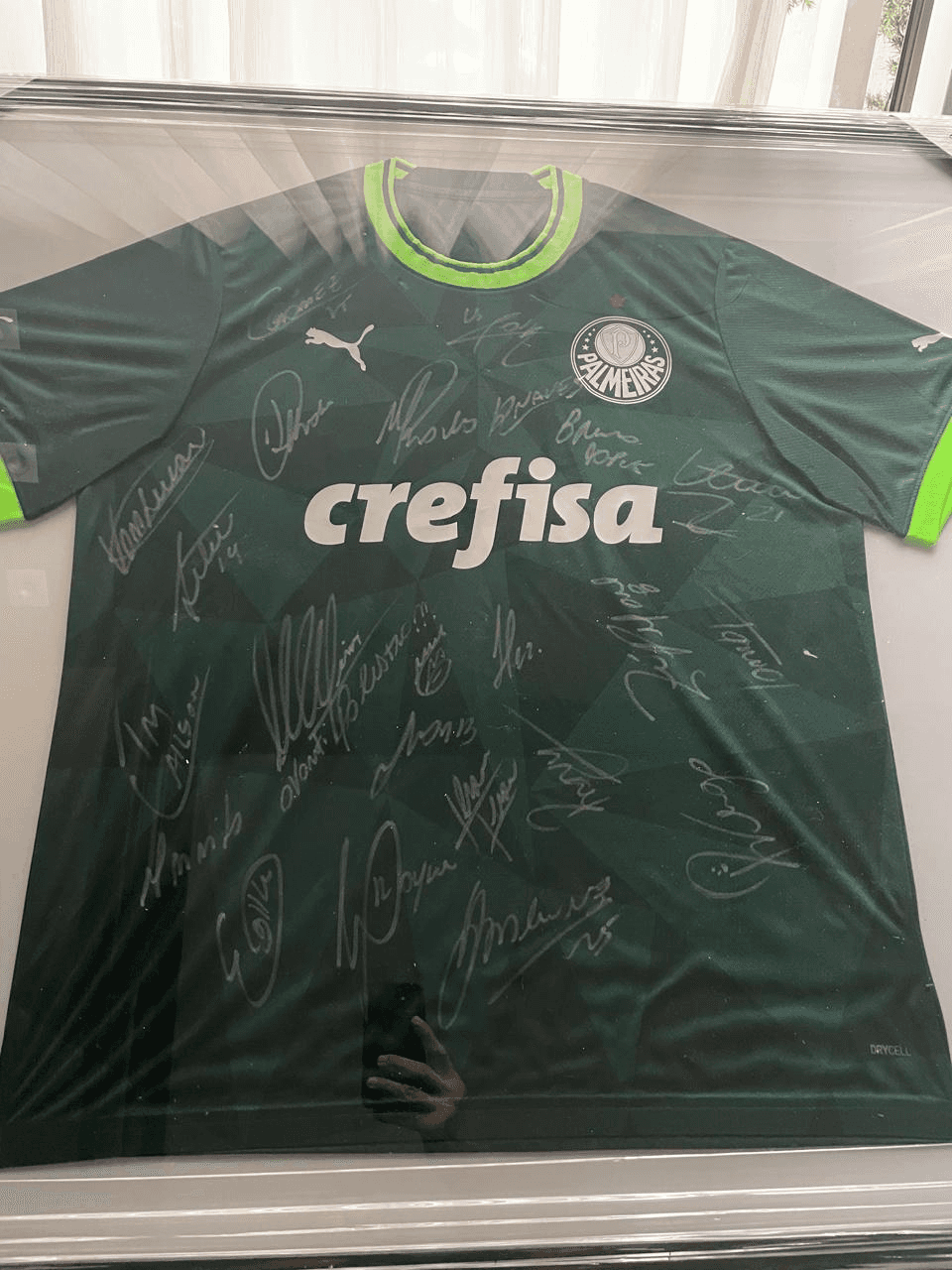Camisa oficial do palmeiras autografada pelo elenco campeão brasileiro do ano de 2023