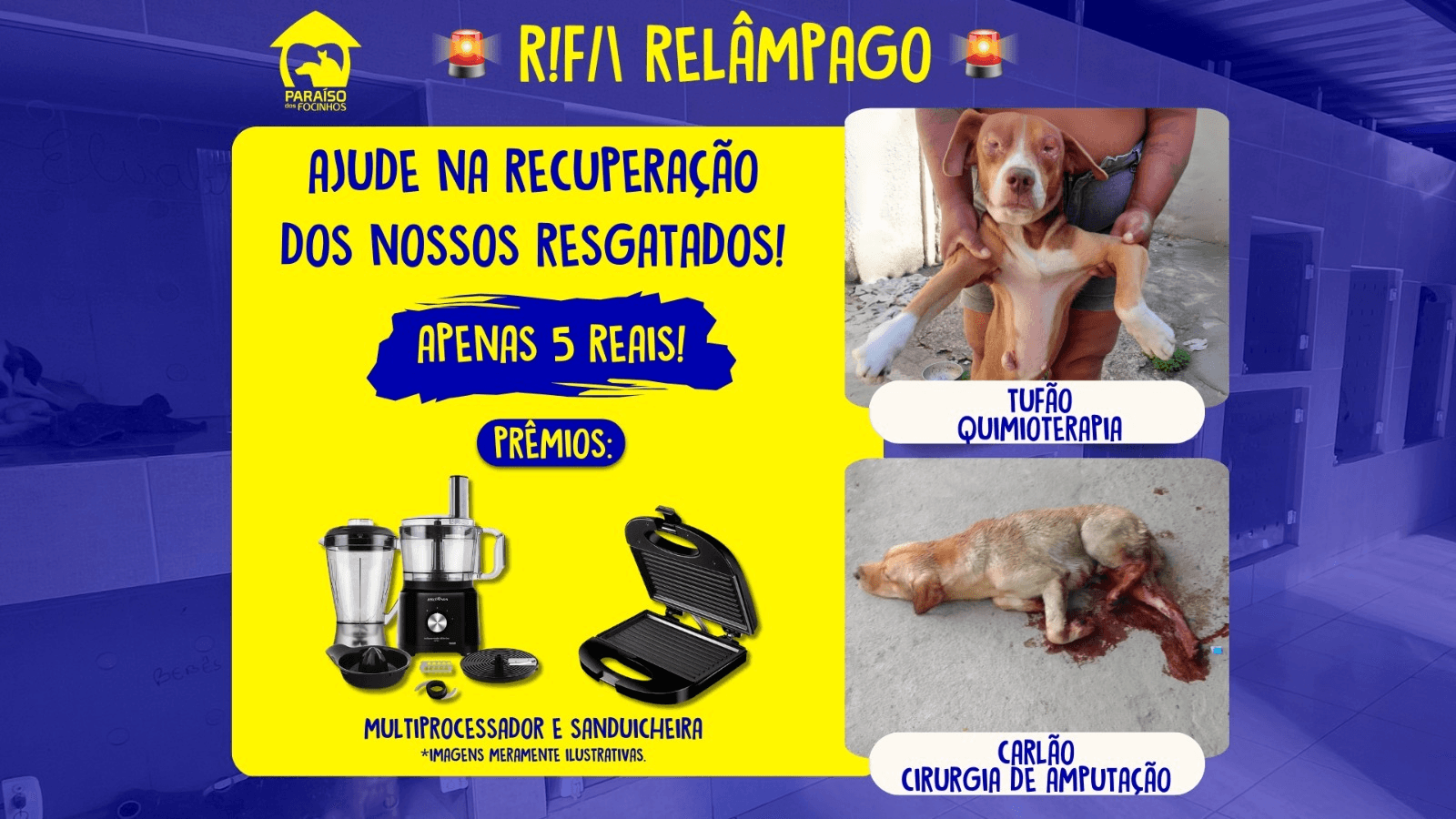 1ª imagem da campanha