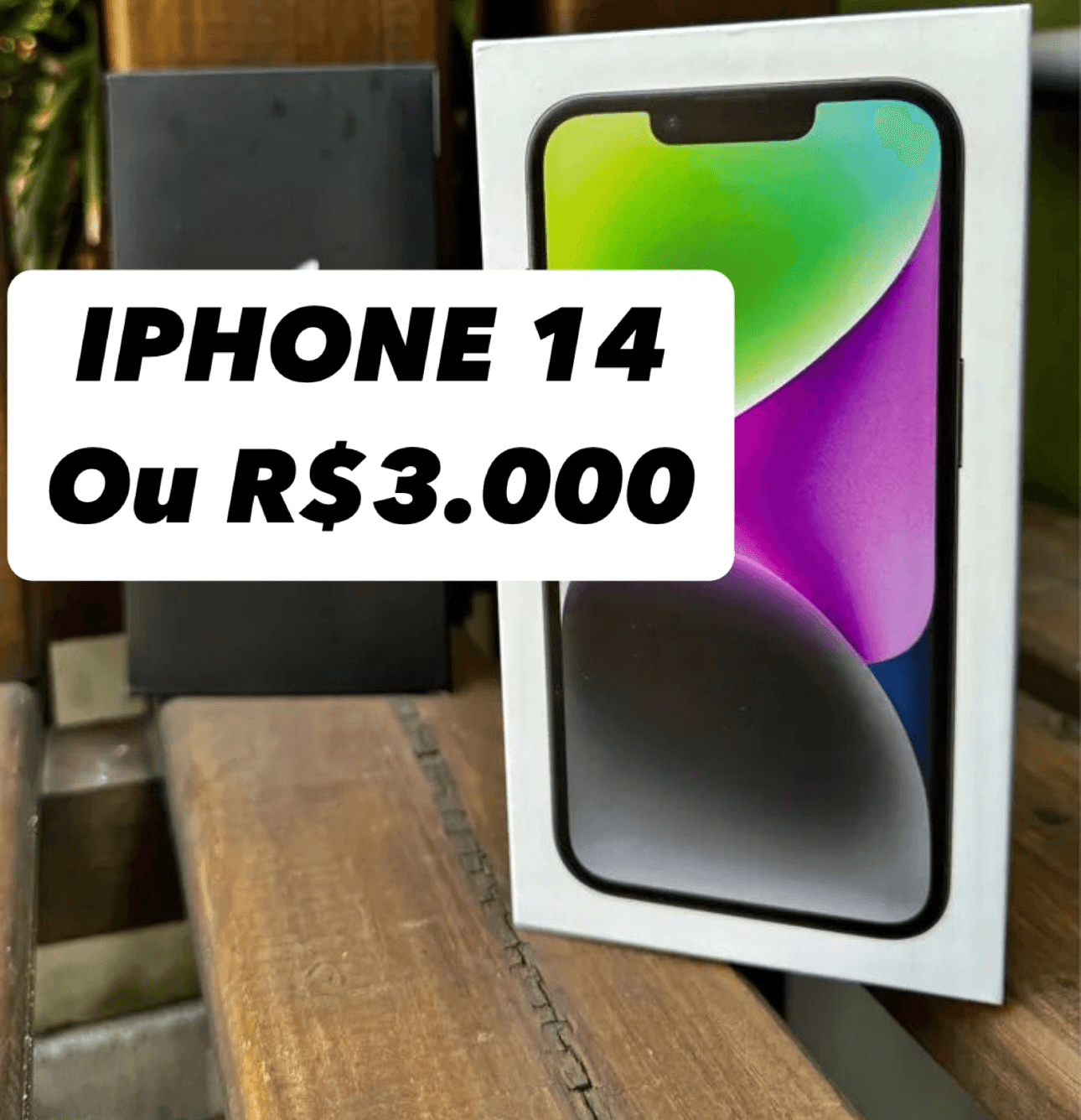 1ª imagem da campanha