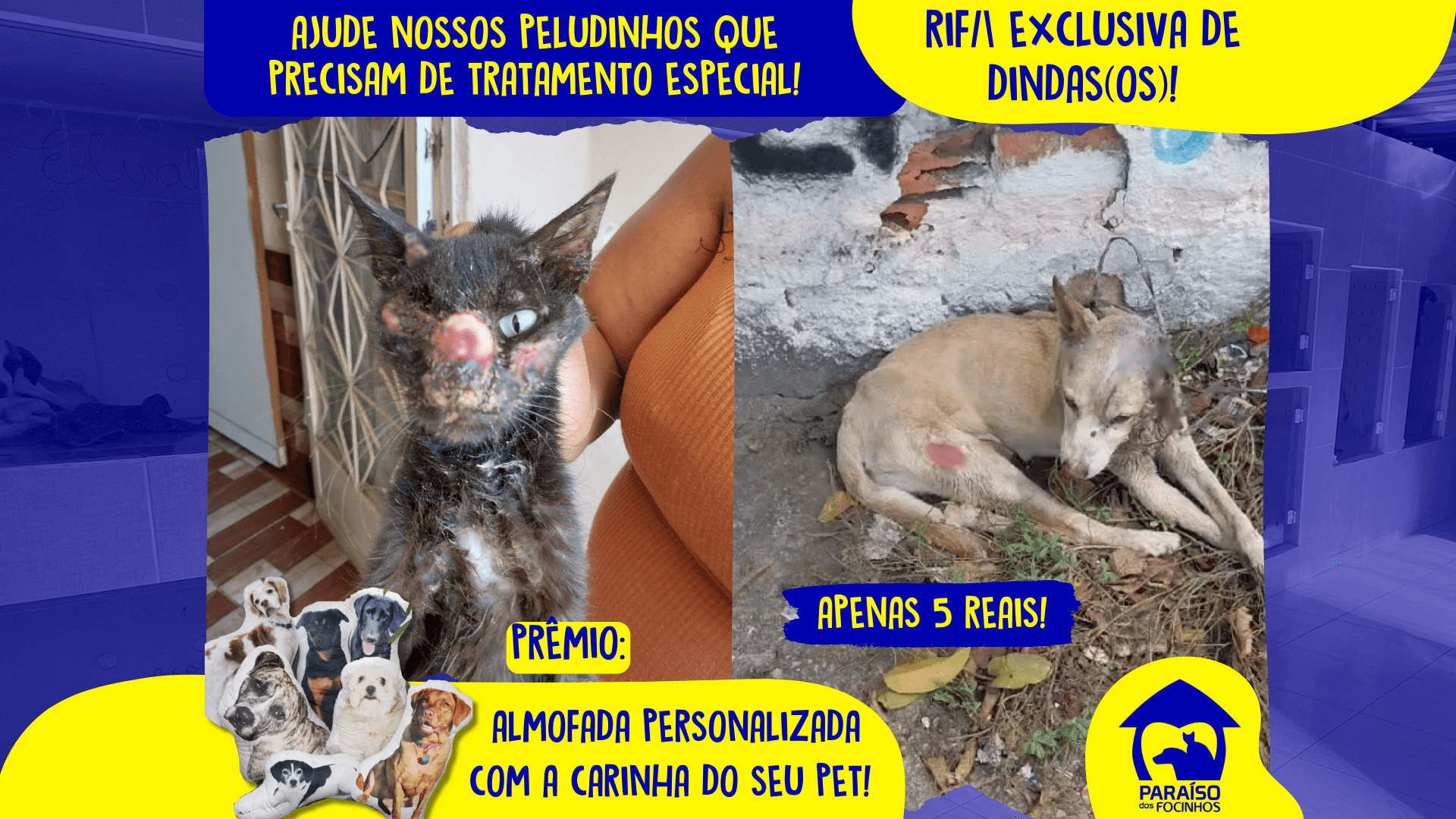 1ª imagem da campanha