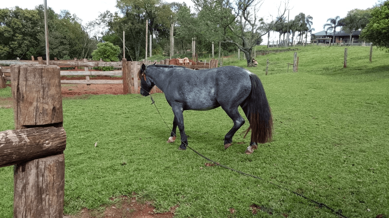 1ª imagem da campanha