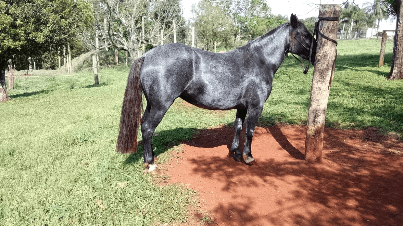 3ª imagem da campanha