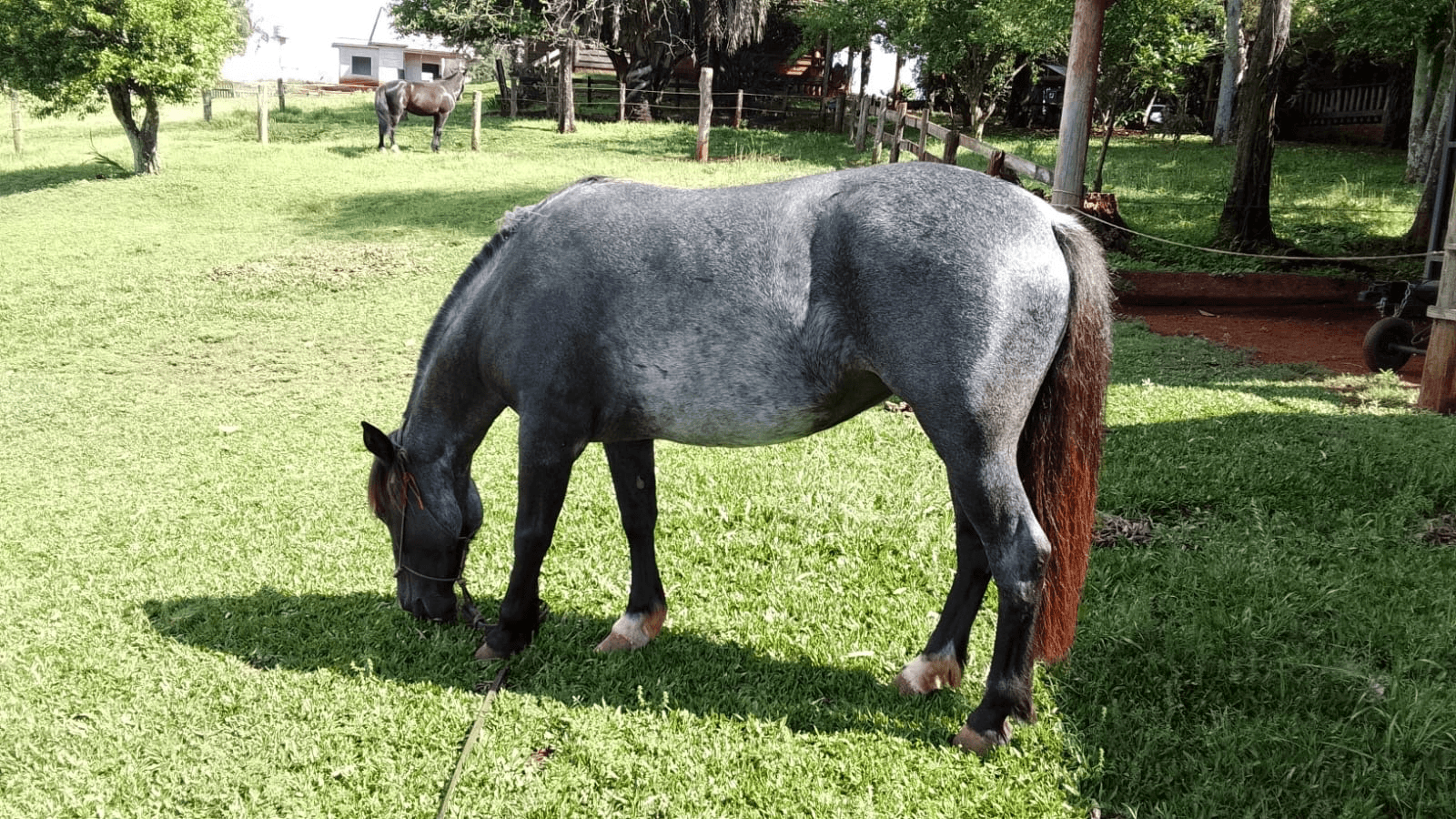 2ª imagem da campanha