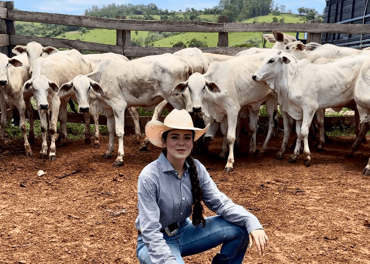 1ª imagem da campanha