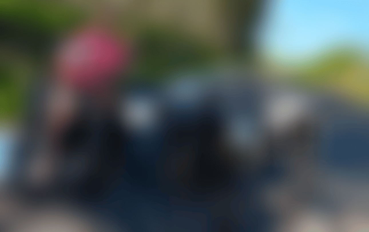 As Queridinhas 2* edição