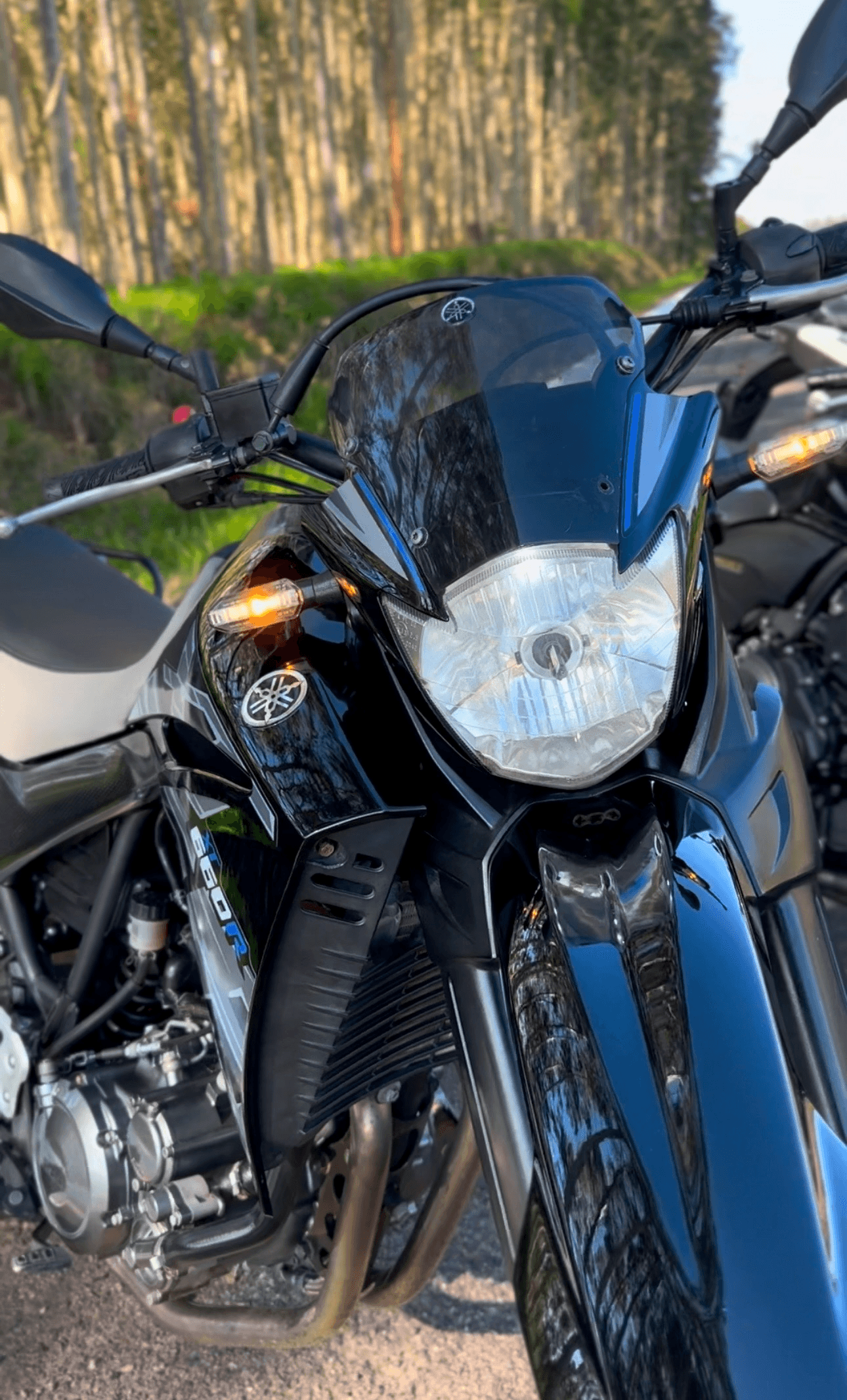 2ª imagem da campanha