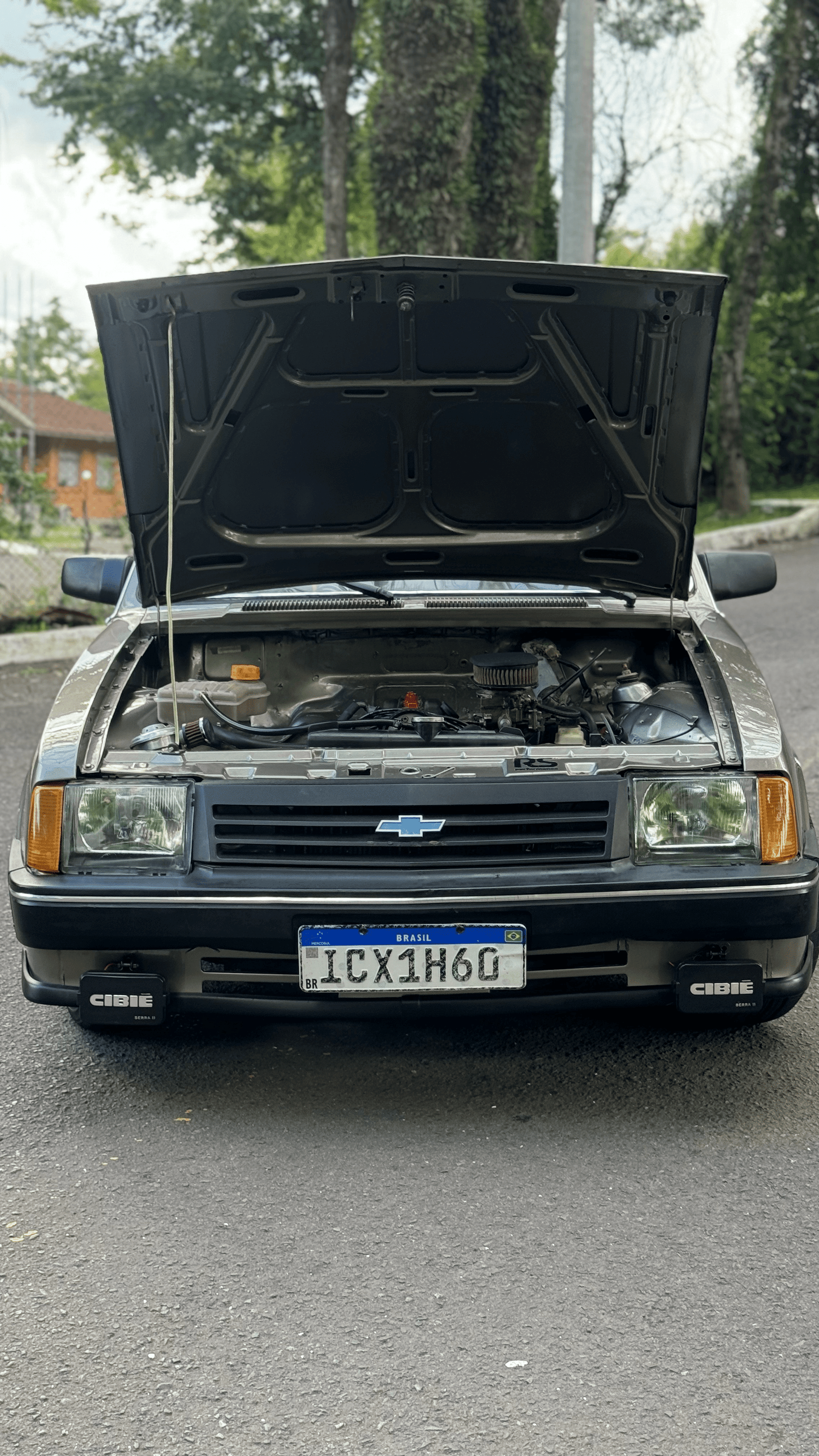 8ª imagem da campanha