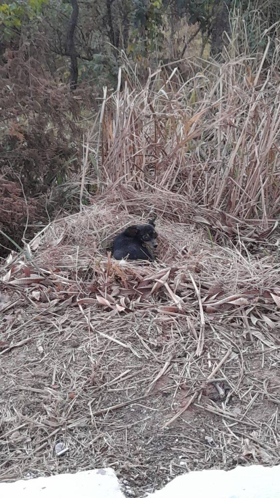 4ª imagem da campanha