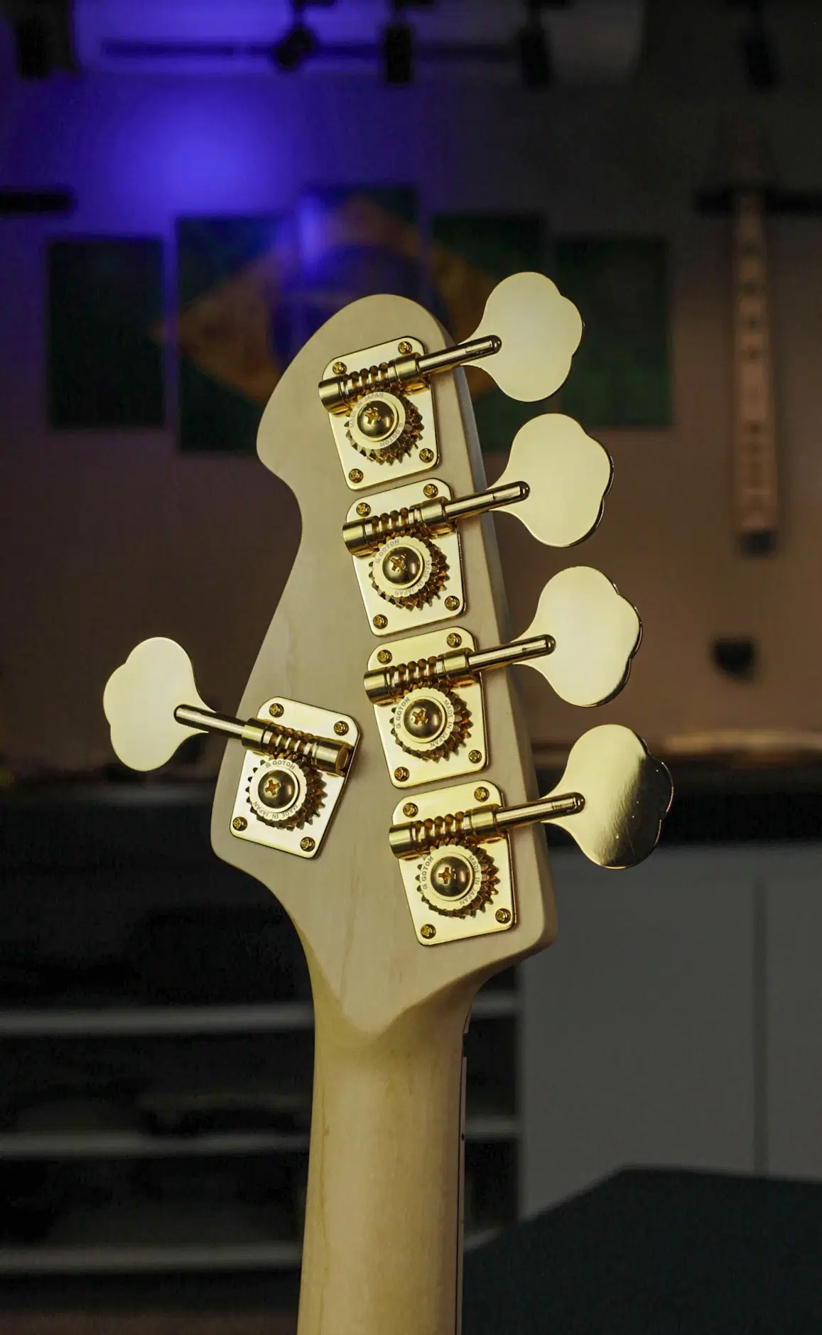 13ª imagem da campanha