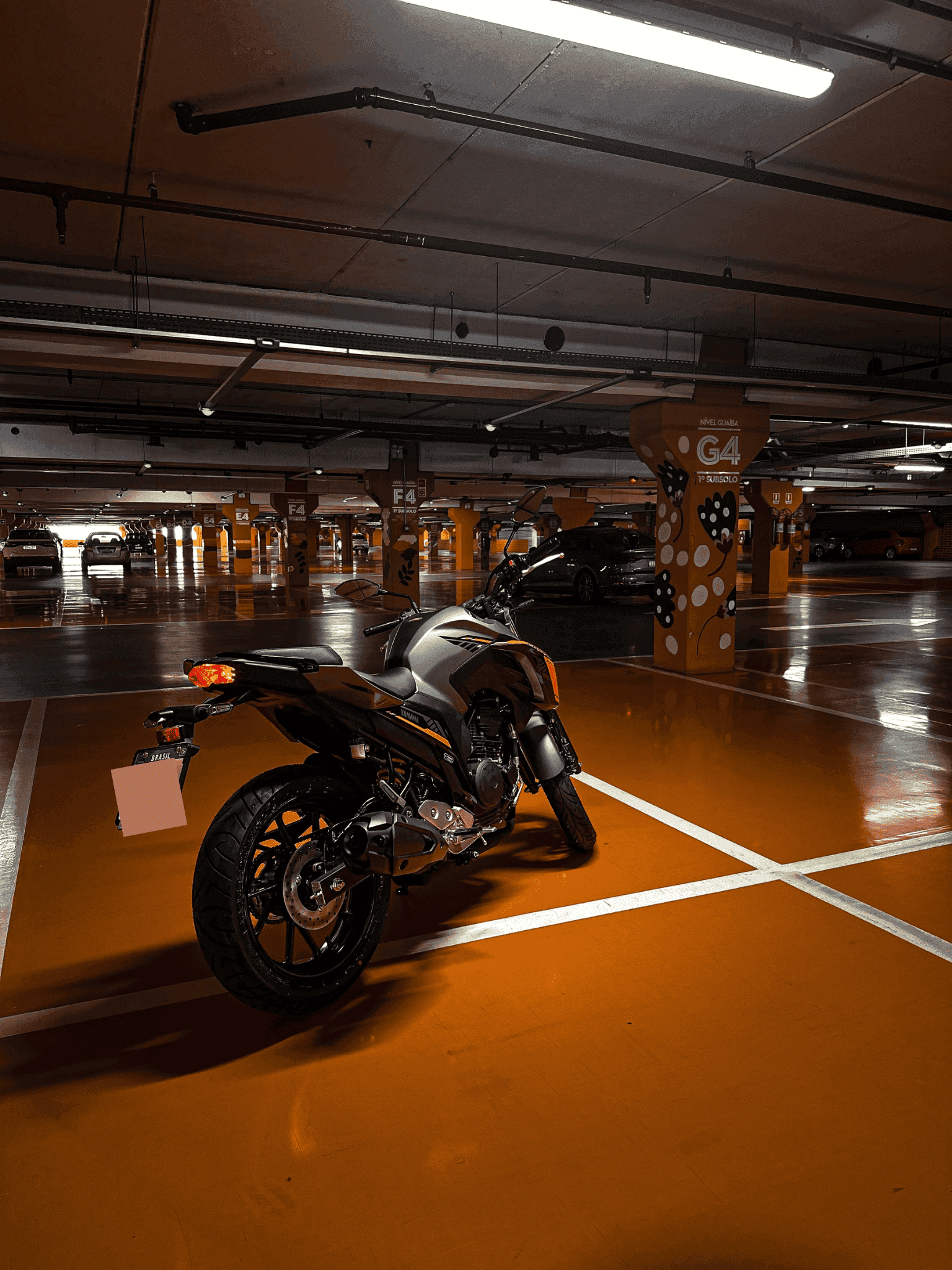 10ª imagem da campanha