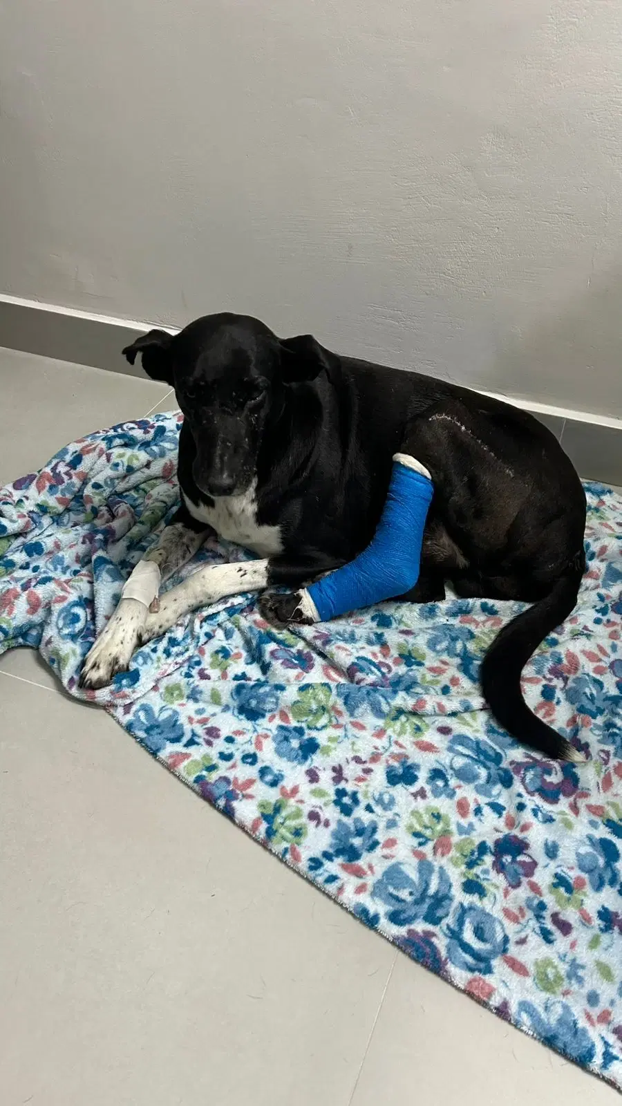 1ª imagem da campanha