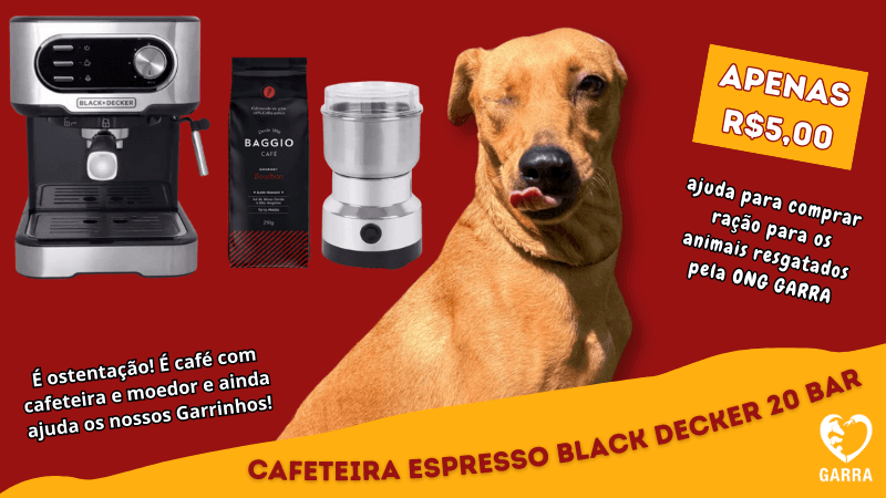 1ª imagem da campanha