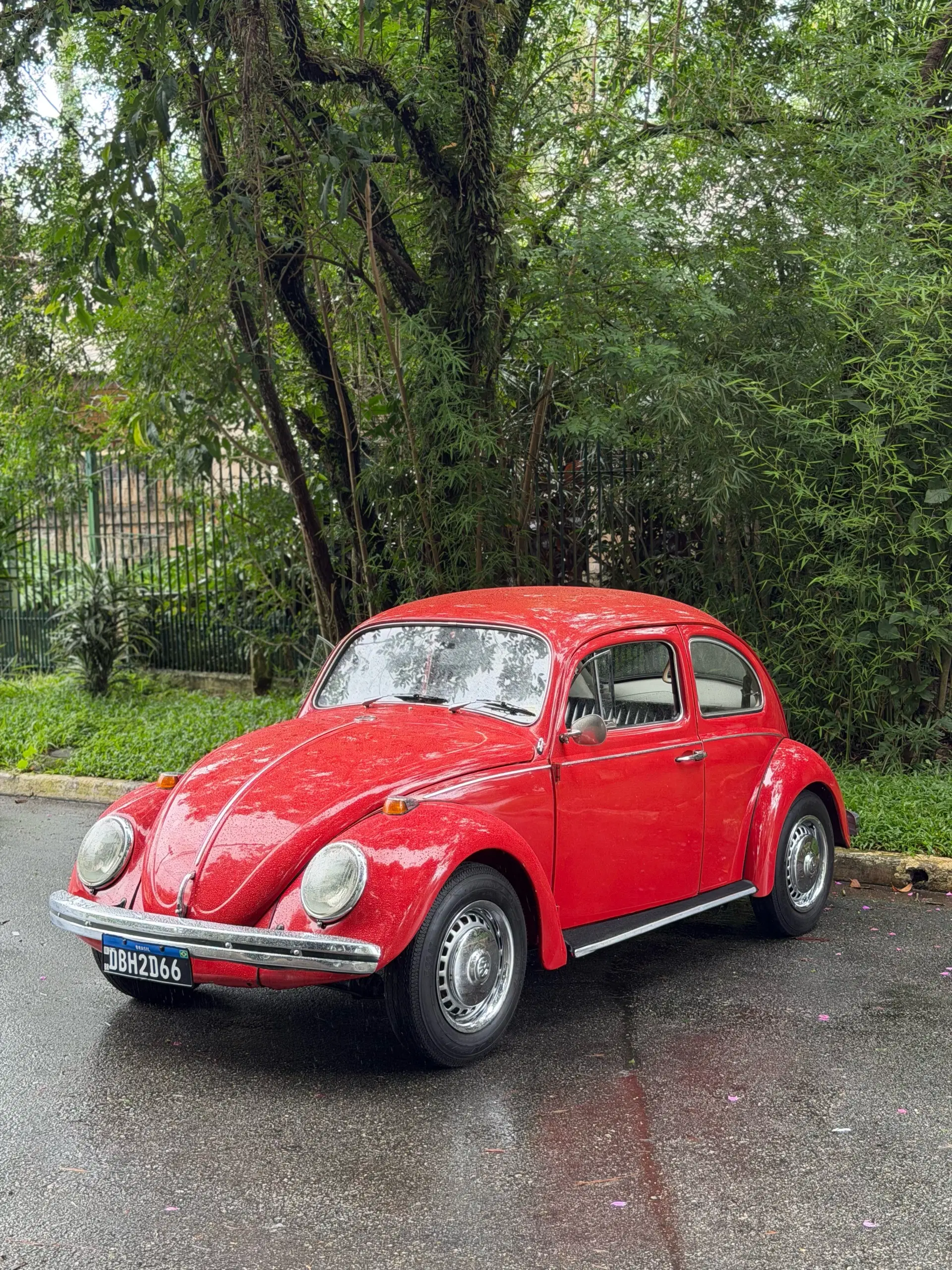 2ª imagem da campanha