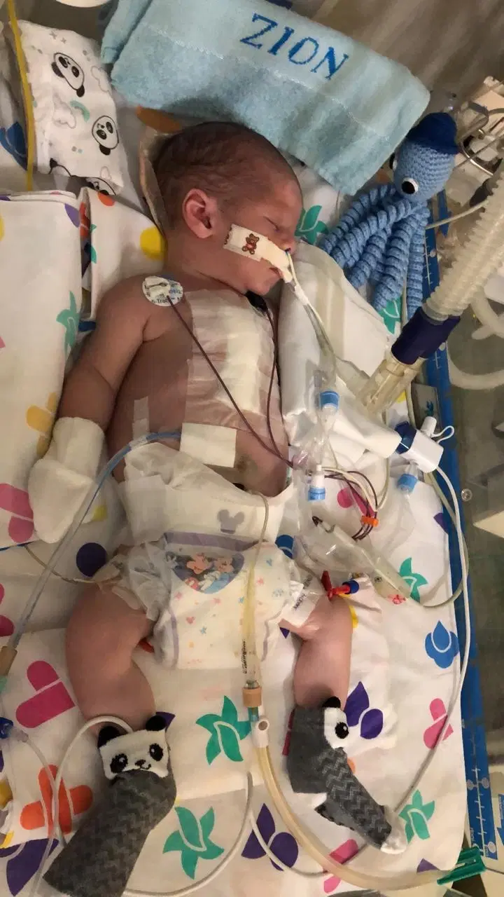 7ª imagem da campanha