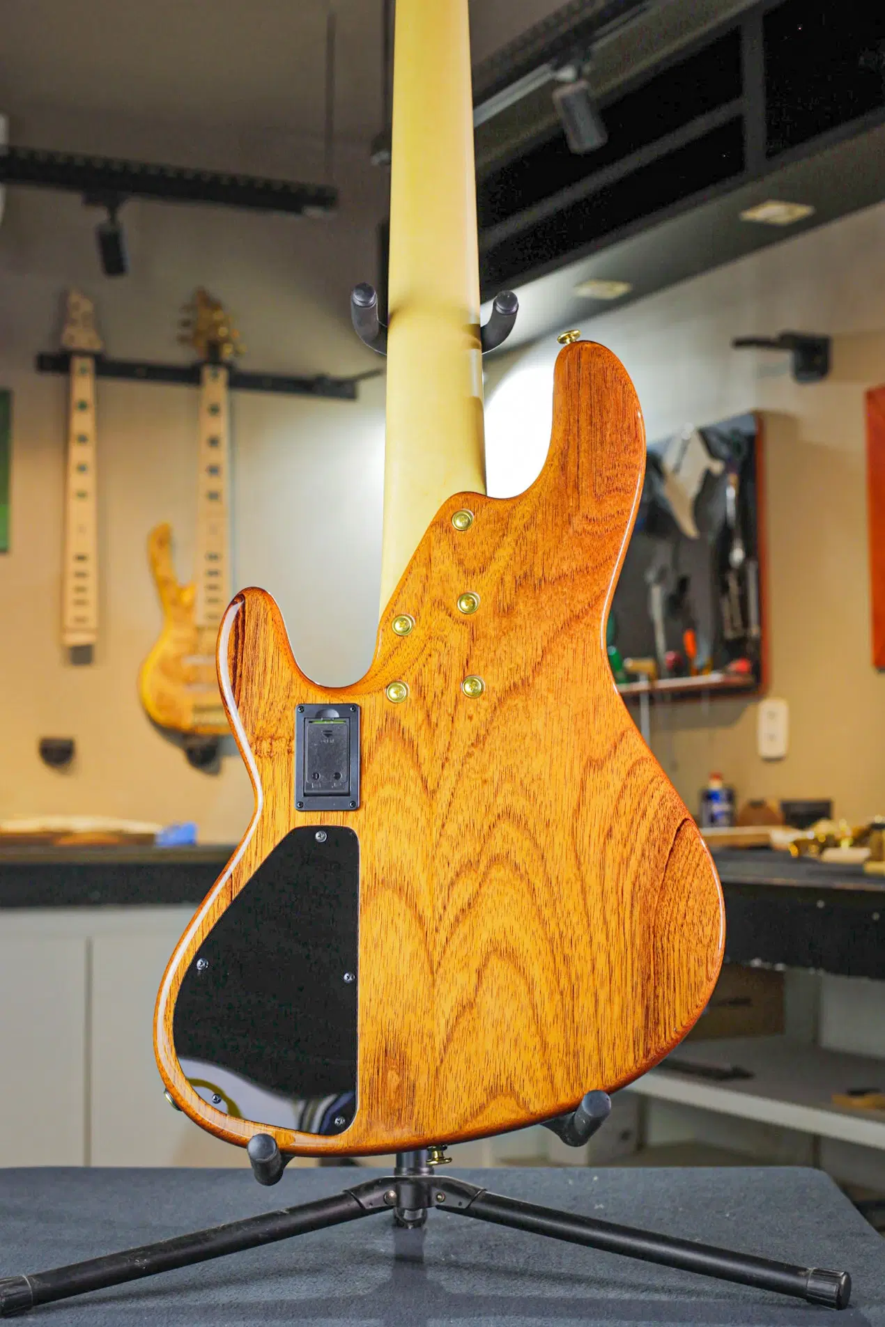 11ª imagem da campanha