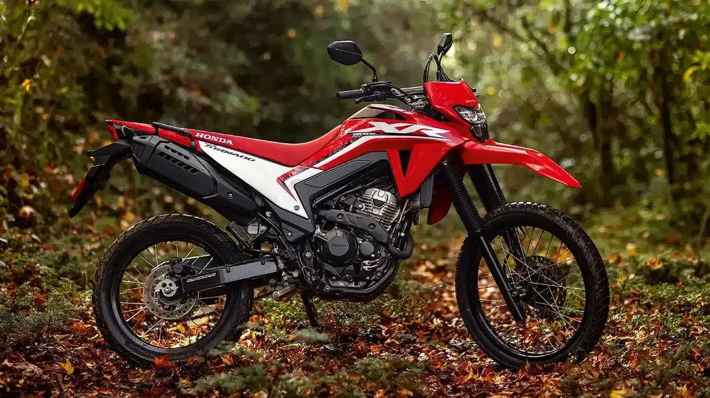 7ª imagem da campanha