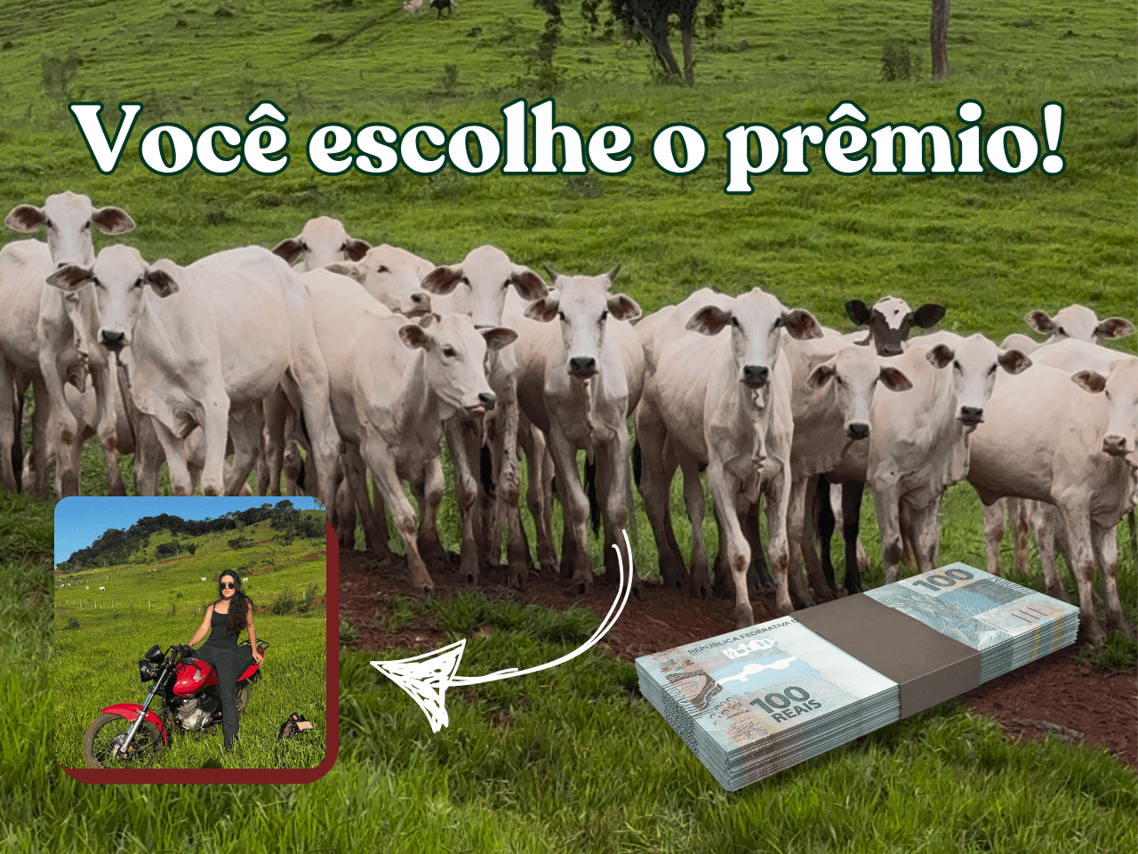 1ª imagem da campanha
