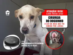 Ajude na cirurgia do Doguinho!