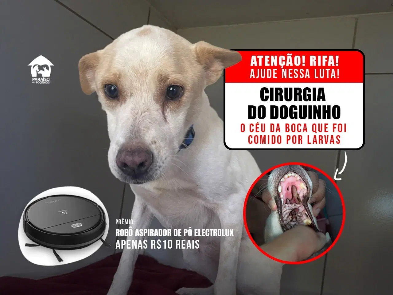 1ª imagem da campanha